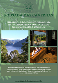 Protocolo COVID